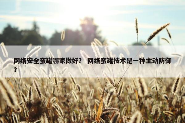 网络安全蜜罐哪家做好？ 网络蜜罐技术是一种主动防御？