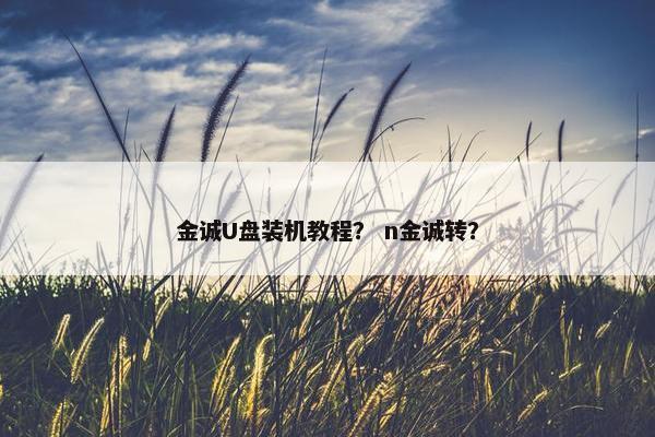 金诚U盘装机教程？ n金诚转？