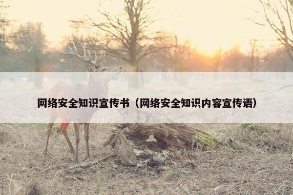 网络安全知识宣传书（网络安全知识内容宣传语）