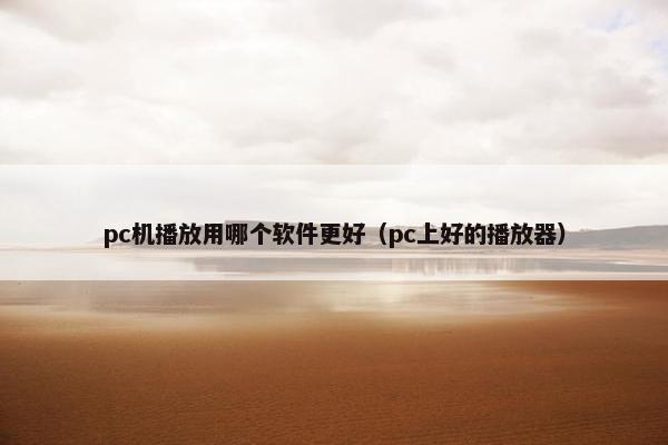 pc机播放用哪个软件更好（pc上好的播放器）