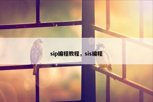 sip编程教程，sis编程