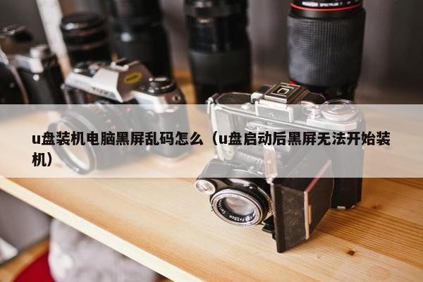 u盘装机电脑黑屏乱码怎么（u盘启动后黑屏无法开始装机）