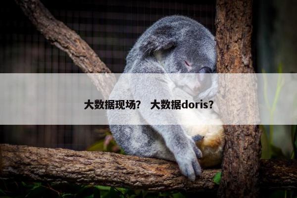 大数据现场？ 大数据doris？