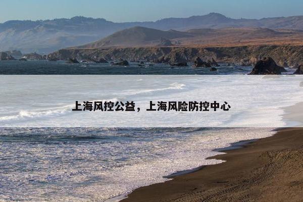 上海风控公益，上海风险防控中心