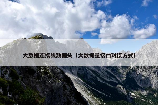 大数据连接线数据头（大数据量接口对接方式）