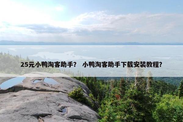 25元小鸭淘客助手？ 小鸭淘客助手下载安装教程？