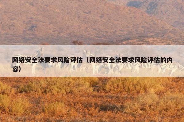 网络安全法要求风险评估（网络安全法要求风险评估的内容）