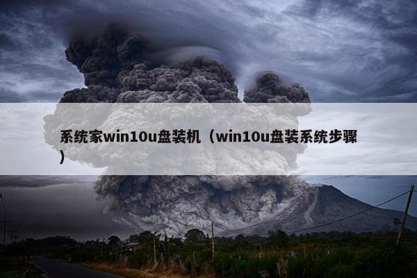 系统家win10u盘装机（win10u盘装系统步骤）