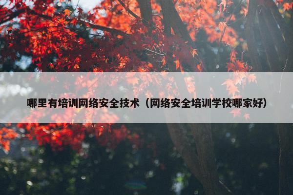 哪里有培训网络安全技术（网络安全培训学校哪家好）