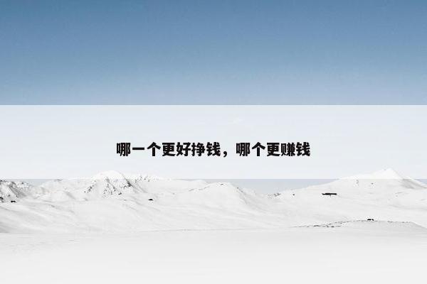 哪一个更好挣钱，哪个更赚钱