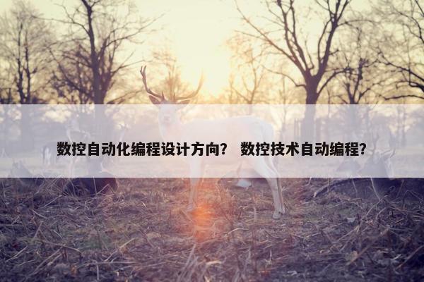 数控自动化编程设计方向？ 数控技术自动编程？