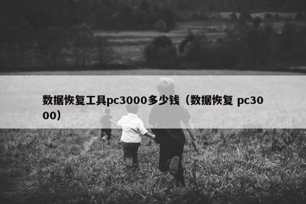 数据恢复工具pc3000多少钱（数据恢复 pc3000）