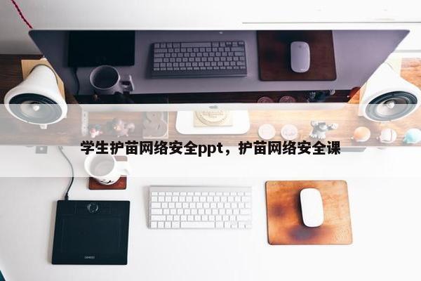 学生护苗网络安全ppt，护苗网络安全课