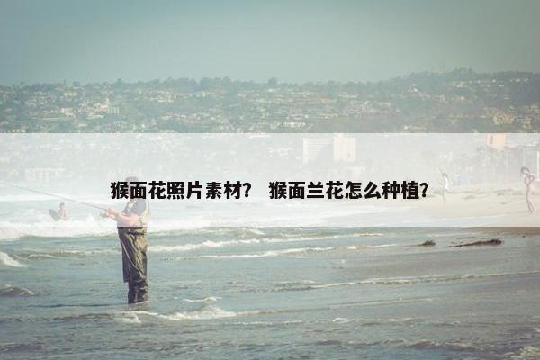 猴面花照片素材？ 猴面兰花怎么种植？