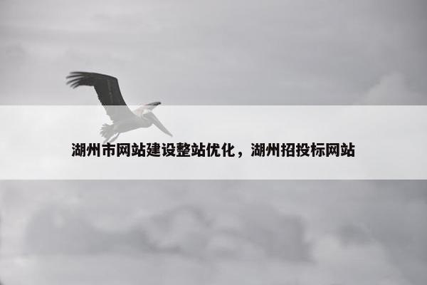 湖州市网站建设整站优化，湖州招投标网站