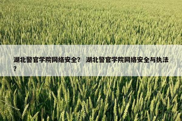 湖北警官学院网络安全？ 湖北警官学院网络安全与执法？