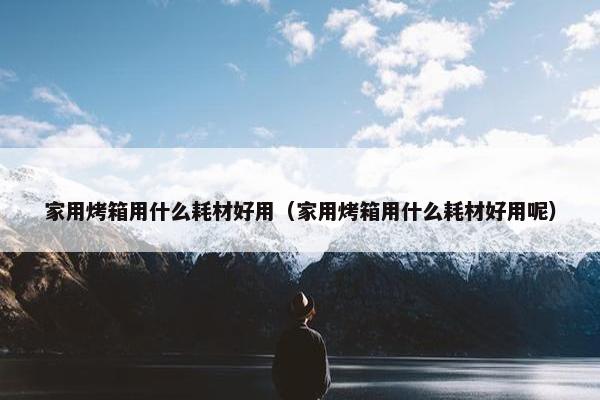 家用烤箱用什么耗材好用（家用烤箱用什么耗材好用呢）
