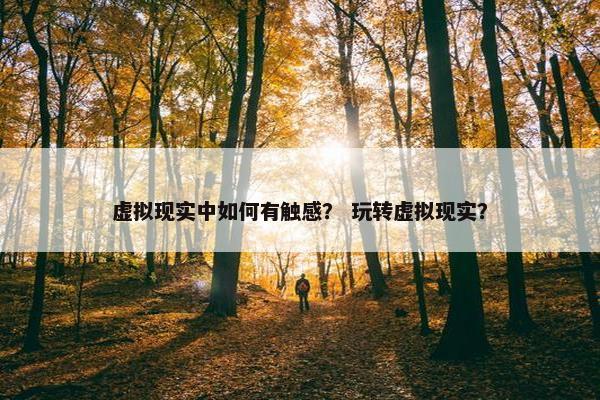 虚拟现实中如何有触感？ 玩转虚拟现实？