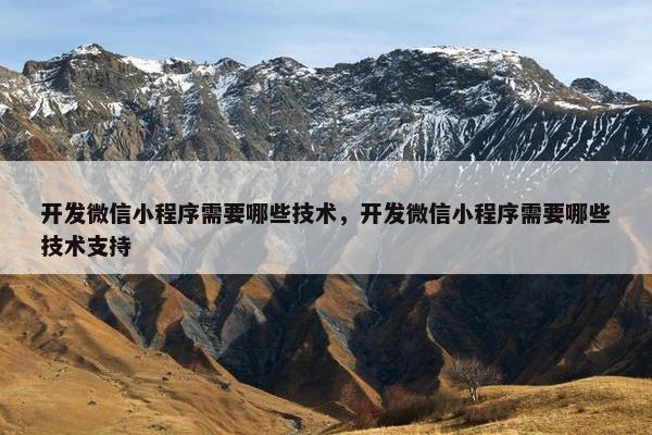 开发微信小程序需要哪些技术,开发微信小程序需要哪些技术支持