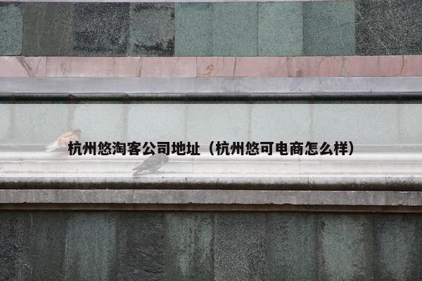 杭州悠淘客公司地址（杭州悠可电商怎么样）