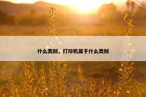 什么类别,打印机属于什么类别 什么类别,打印机属于什么类别