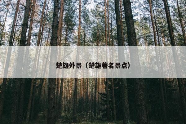 楚雄外景(楚雄著名景点) 楚雄外景(楚雄著名景点)