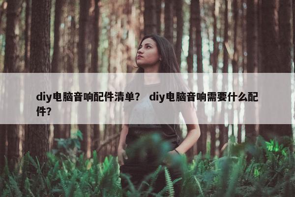 diy电脑音响配件清单？ diy电脑音响需要什么配件？