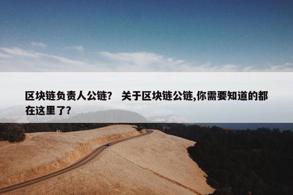 区块链负责人公链？ 关于区块链公链,你需要知道的都在这里了？