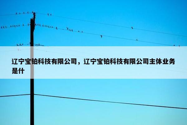 辽宁宝铂科技有限公司,辽宁宝铂科技有限公司主体业务是什 辽宁宝铂科技有限公司,辽宁宝铂科技有限公司主体业务是什