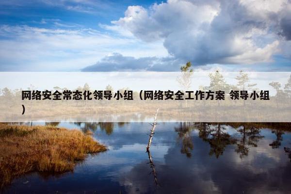 网络安全常态化领导小组(网络安全工作方案 领导小组)